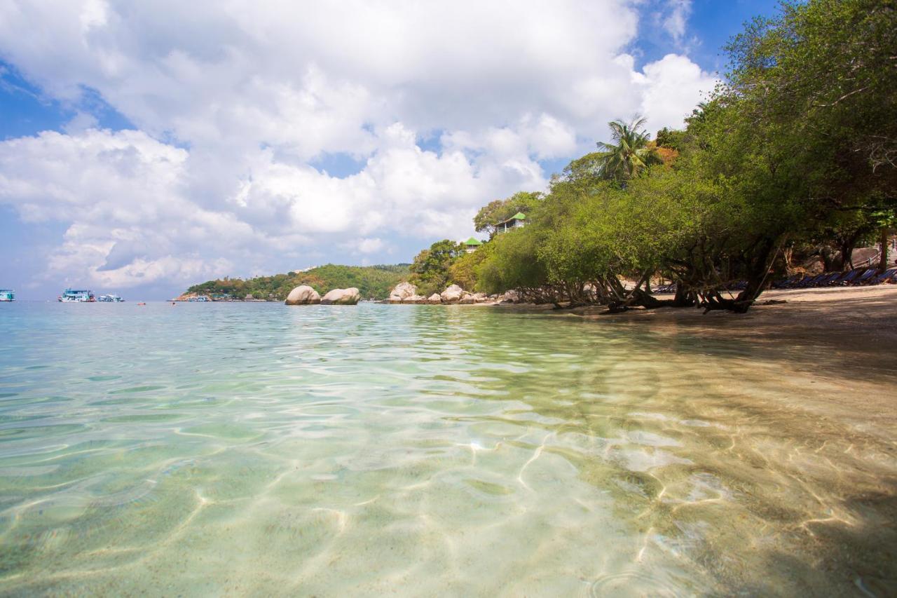 Freedom 3* Ko Tao